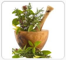 Are All Herbs Safe?